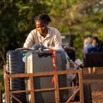 The Art of the Safari: Top Tips for an Unforgettable Serengeti Adventure