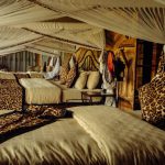 Echoes of the Wild: Guest Stories from the Heart of the Serengeti