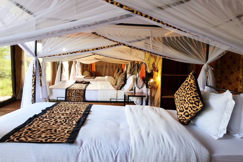 sound-of-nature-personilized-rooms