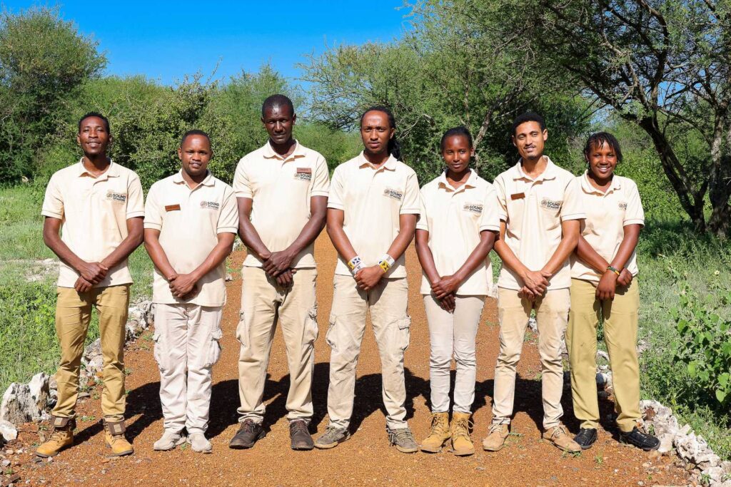 Luxury tented camp in the Serengeti with safari tents under acacia trees,